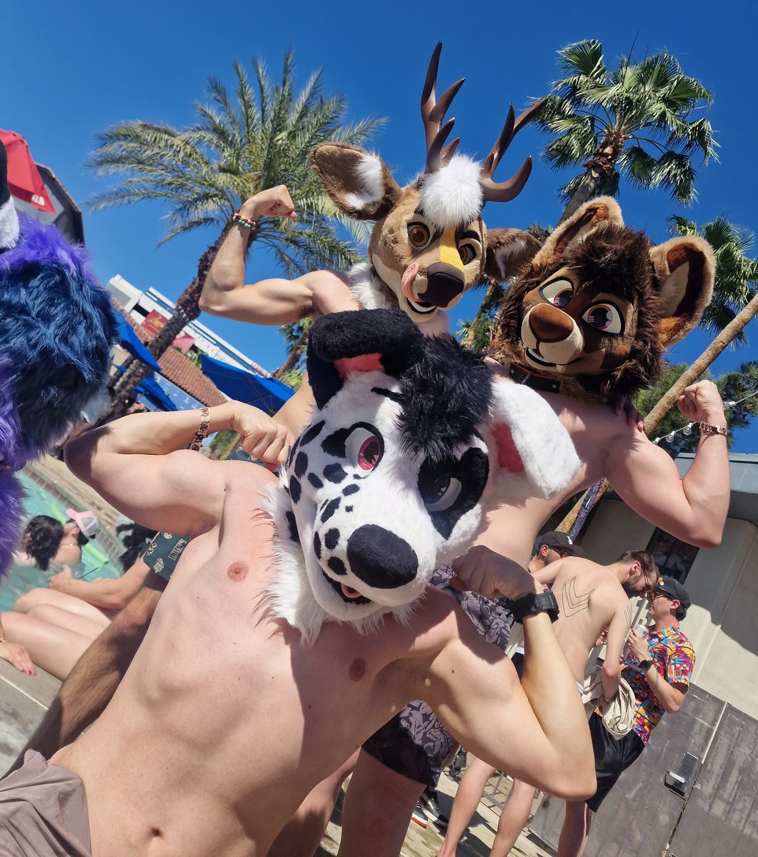 Parsec 🦌 FWA tweet media