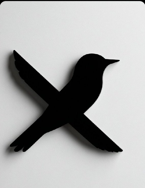 Elon musk X pages tweet media