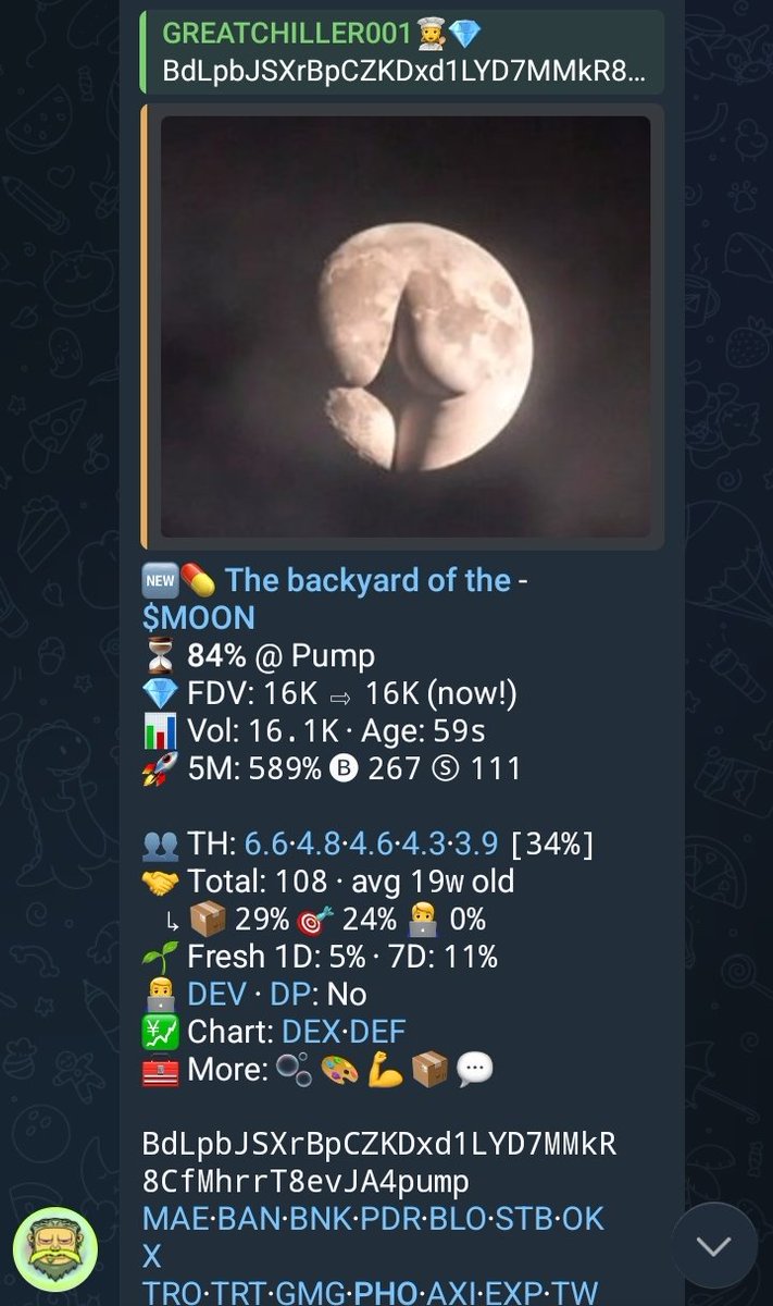 GREATCHILLER💎 tweet media