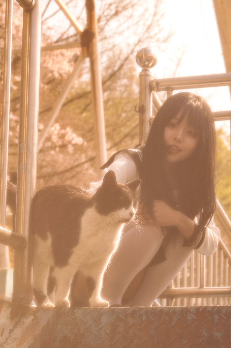 오야ᴏʏᴀ tweet media