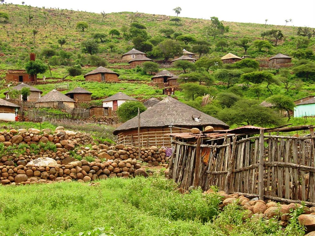 Rieb van Janbeeck tweet media