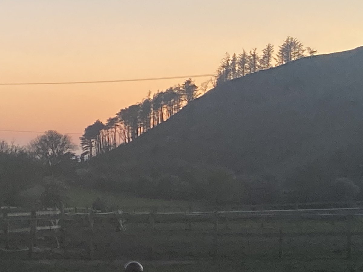 North Wales trees, bit hazy but a fabulous view from Rhoslefain at sunset.
#treeclub 
<a href="/WoodlandNomad/">TC🌳</a>