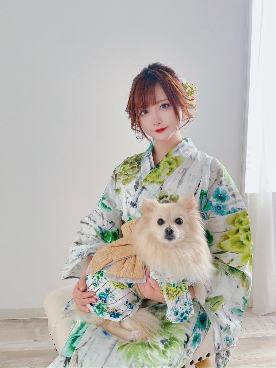 すみれおじさん®︎(紫花 菫)｜犬の健康レシピ考案🐕 tweet media