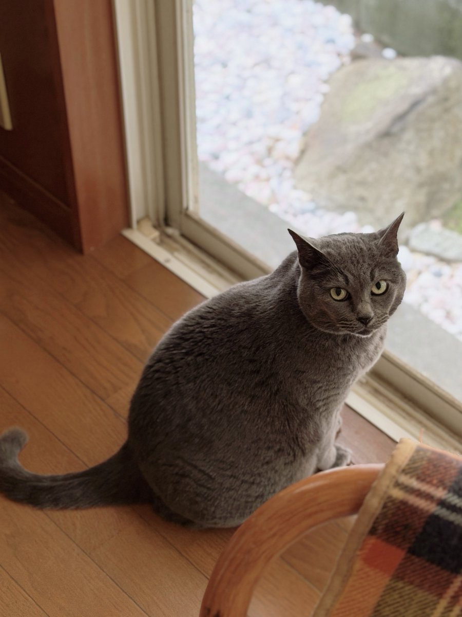 めるきど𓏲𓎨𓁉 tweet media