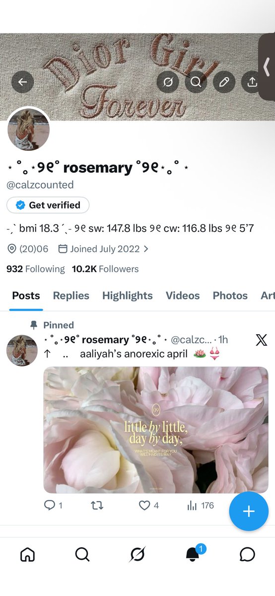 ⋆ ˚｡⋆୨୧˚ aaliyah ˚୨୧⋆｡˚ ⋆ tweet media