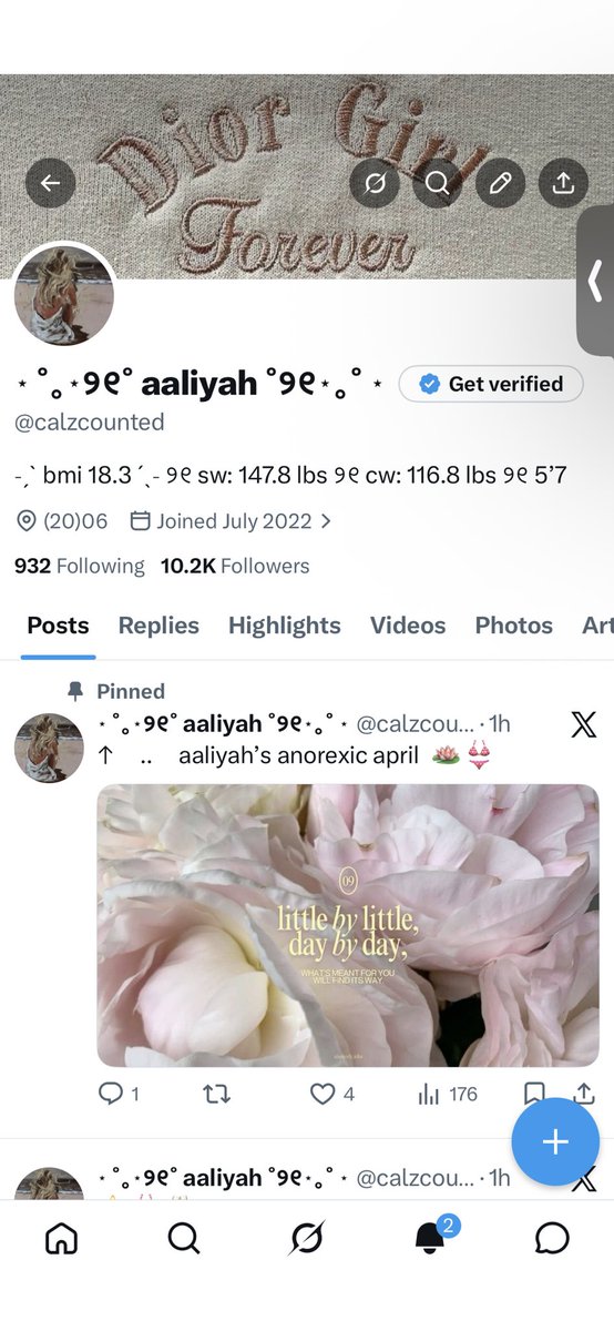 ⋆ ˚｡⋆୨୧˚ aaliyah ˚୨୧⋆｡˚ ⋆ tweet media