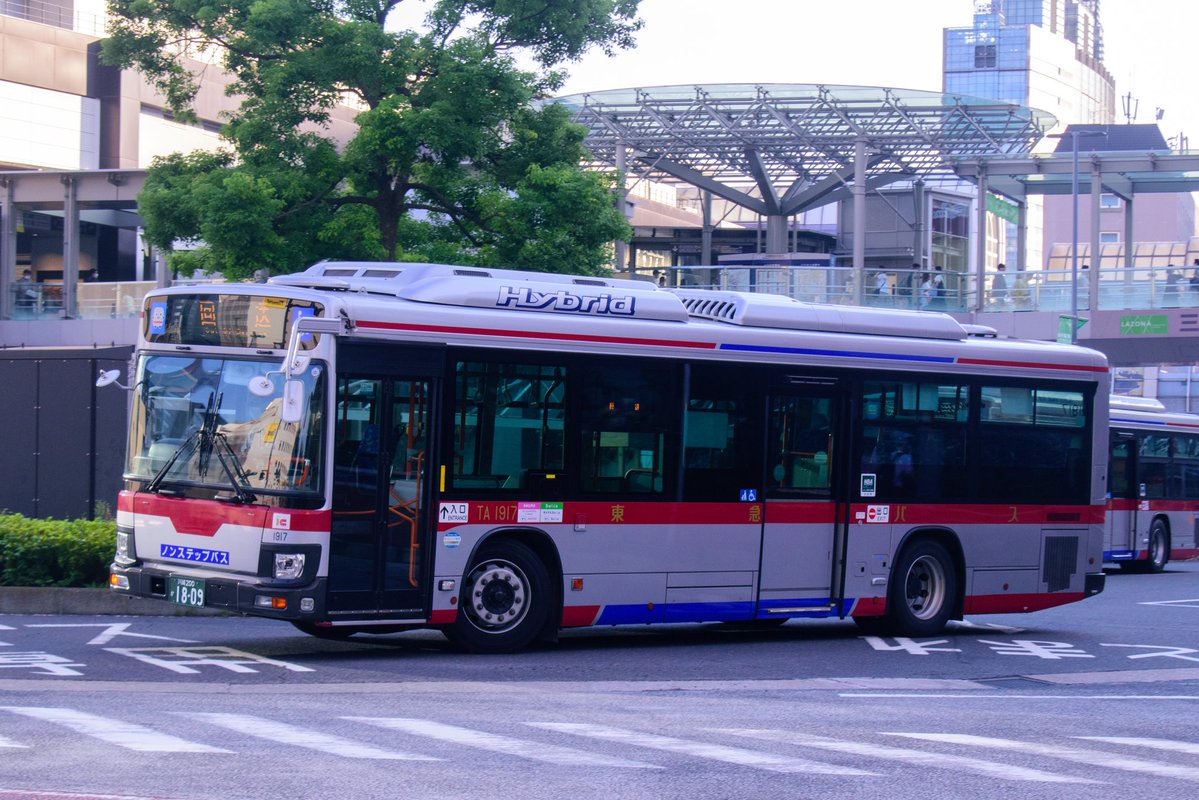 ｽﾀﾞ tweet media