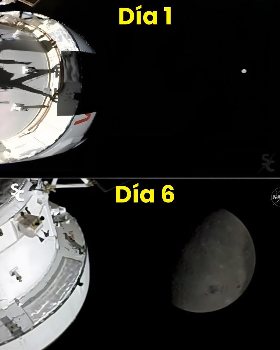 Somos Cosmos tweet media