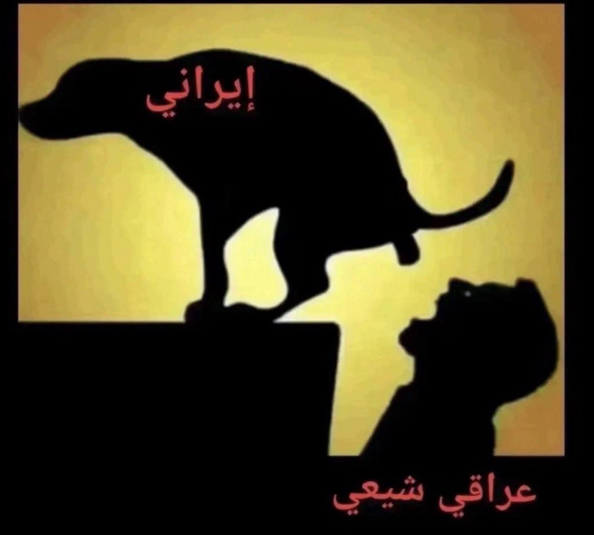 Hab Bas tweet media