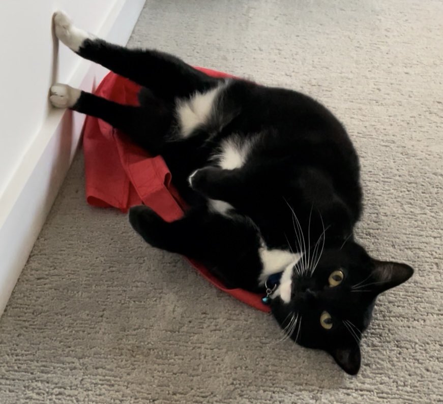 Rosie n Zoe tweet media