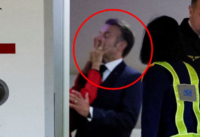 Elvis Muskly tweet media