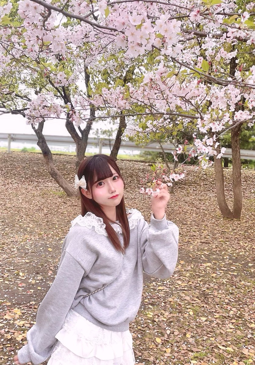 薔 あんじゅ(Stella!) tweet media