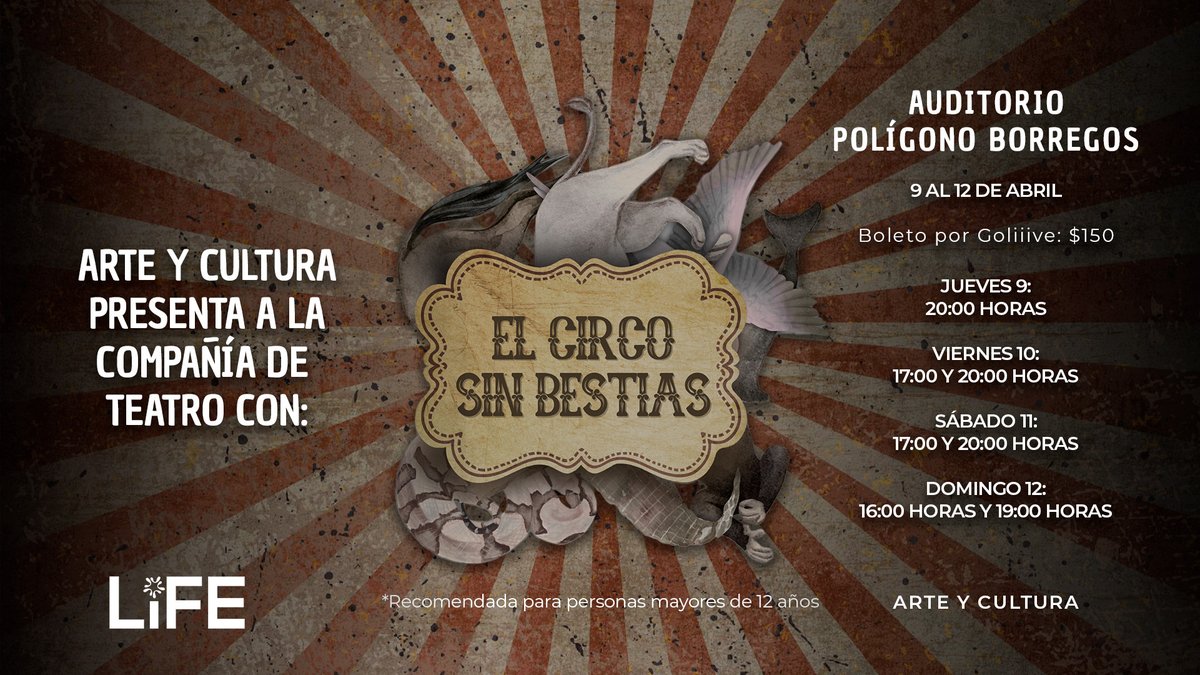 Tec Ciudad de México tweet media