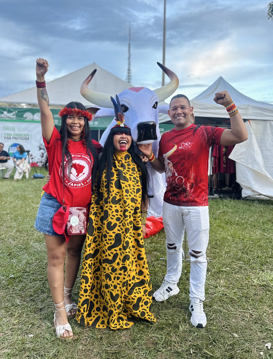 Boi Garantido tweet media