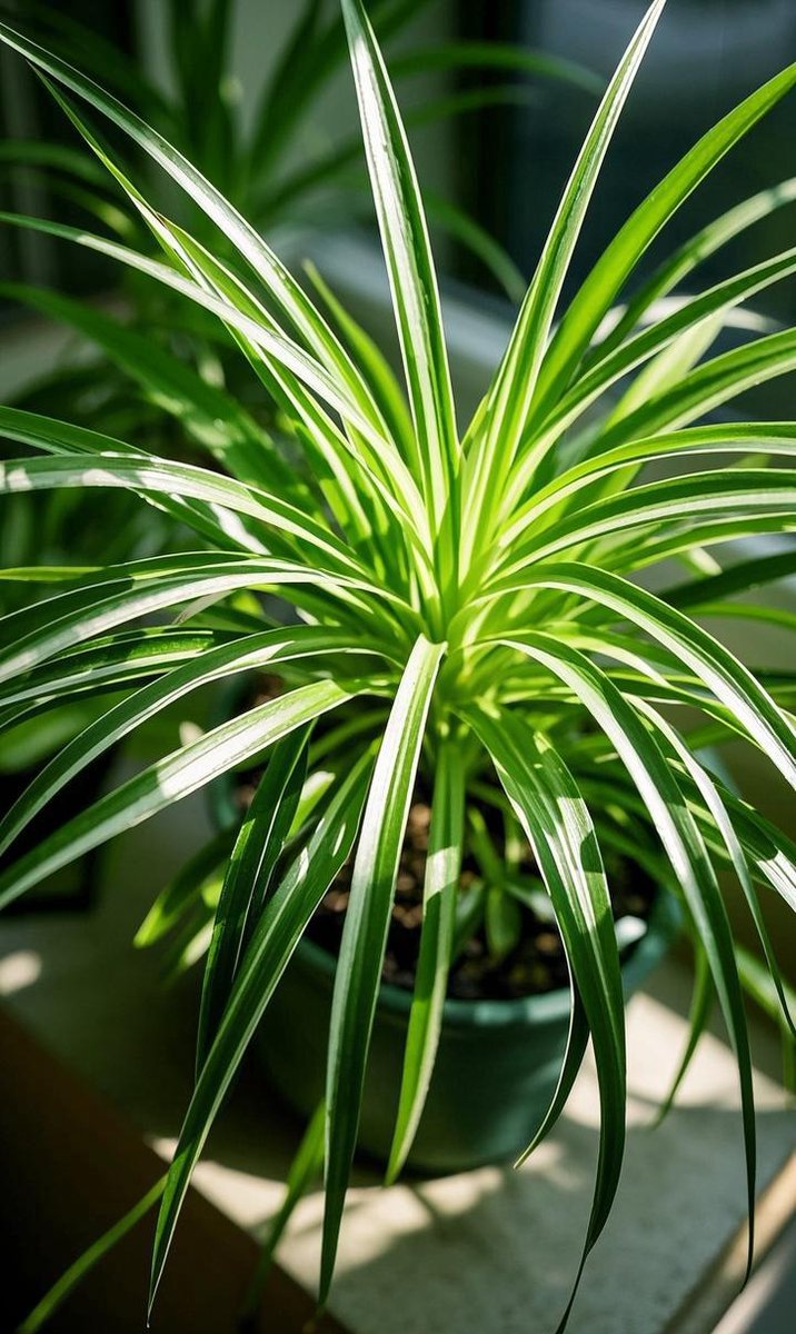 Justin Bell tweet media