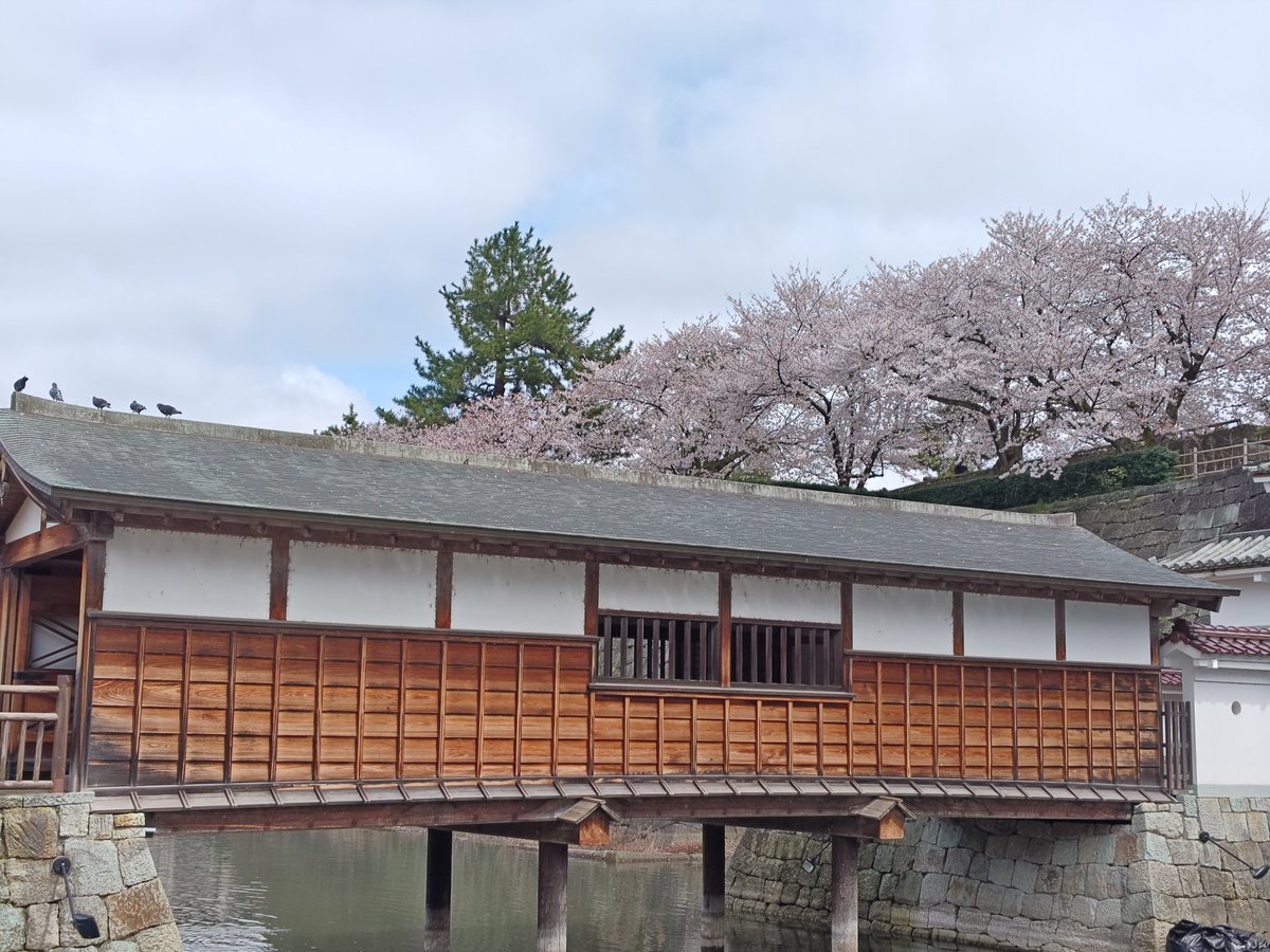 るり＠真田兵 tweet media