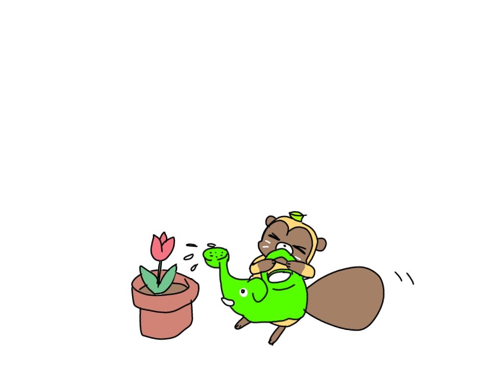 のりまっきー💚 tweet media