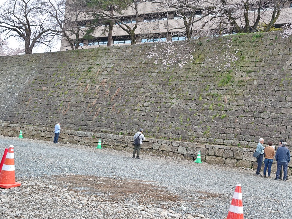 るり＠真田兵 tweet media