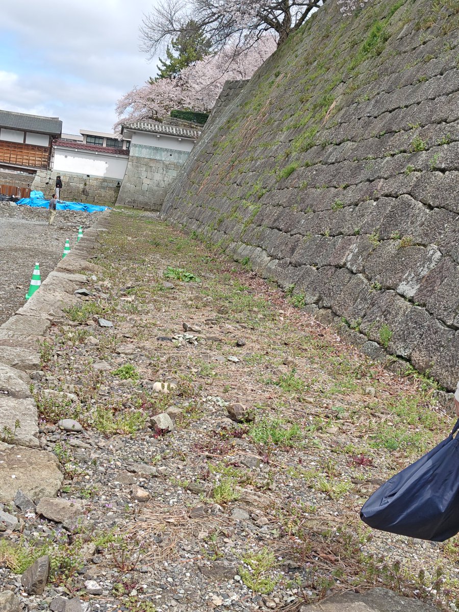 るり＠真田兵 tweet media