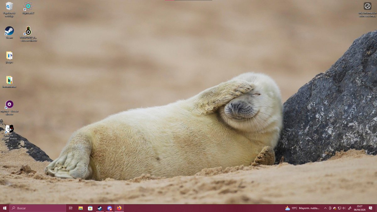 Morgana Ikari tweet media