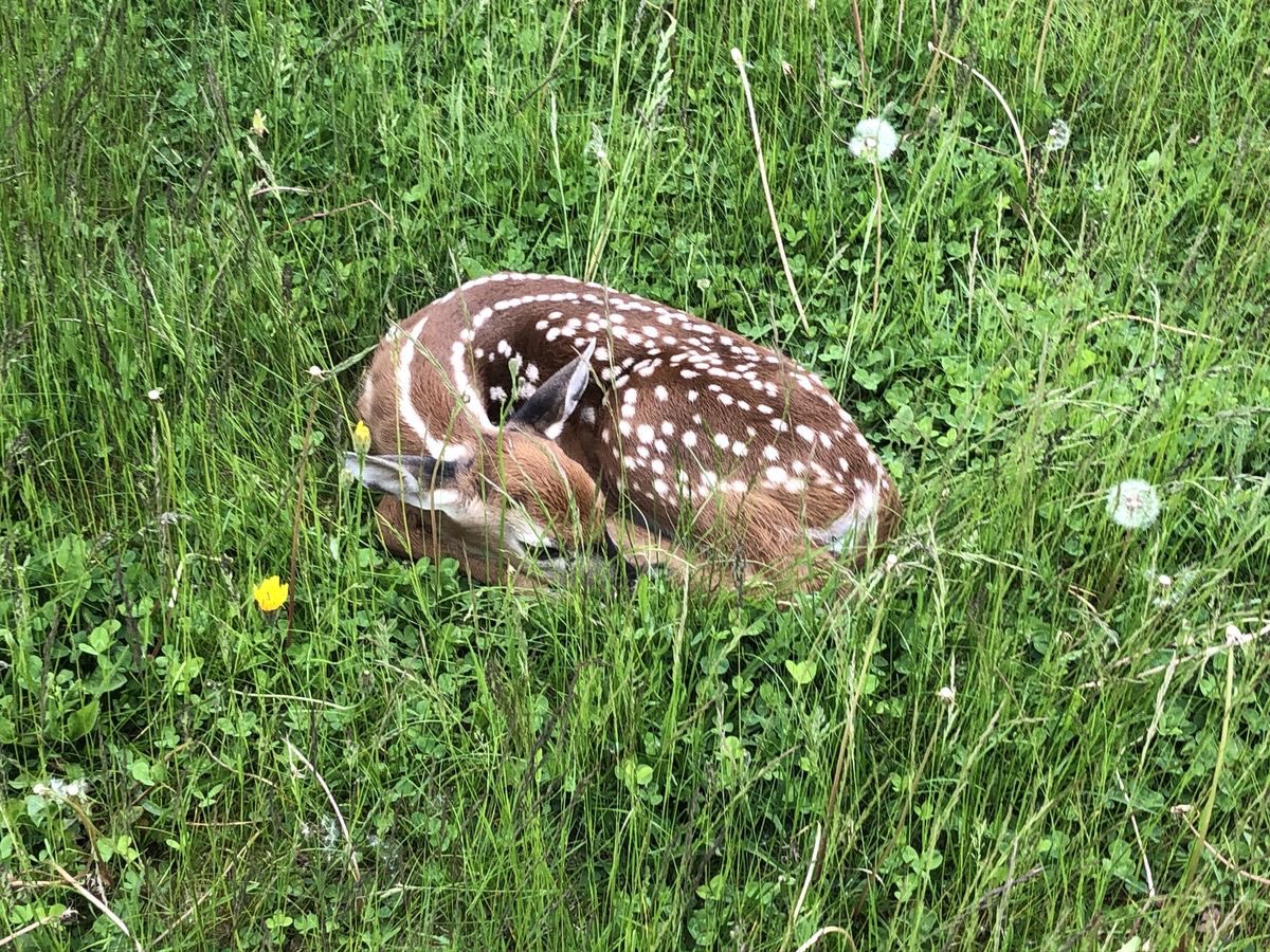 alicia🎐 tweet media