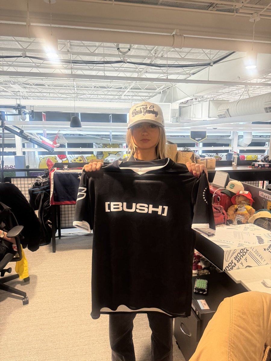 Telluride Bush Gaming tweet media