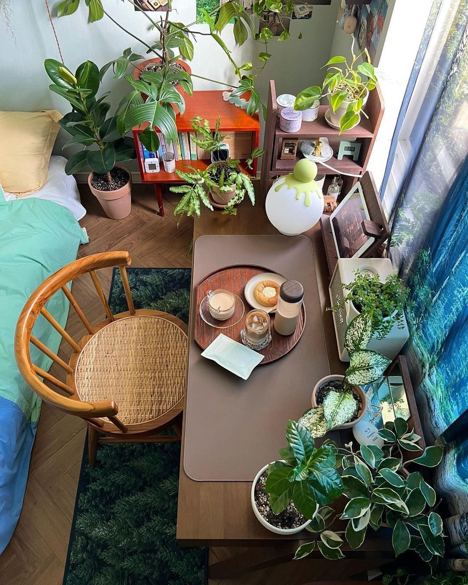 greenvibe's tweet image. 