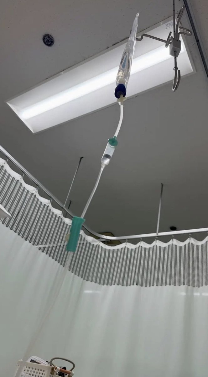 ぷるたぶ tweet media