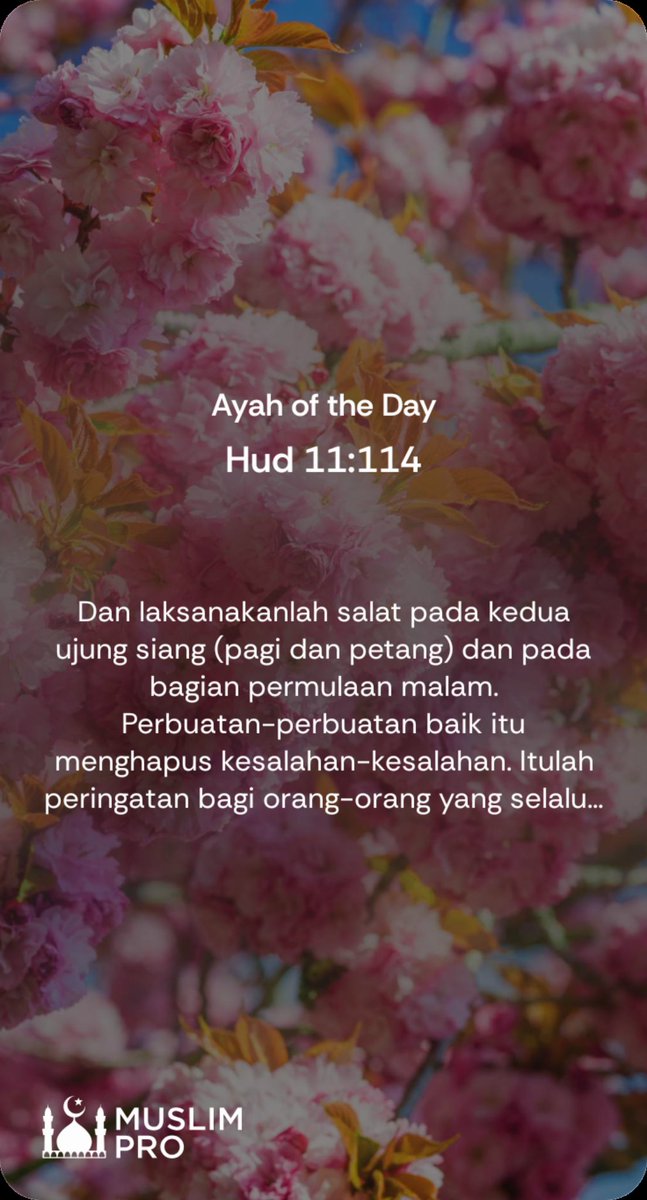 FHaznul31's tweet photo. Hud 11:114 | Ayah of the Day
Dan laksanakanlah salat pada kedua ujung siang (pagi dan petang) dan pada bagian permulaan malam. Pe... https://t.co/3YTKUiOXoS