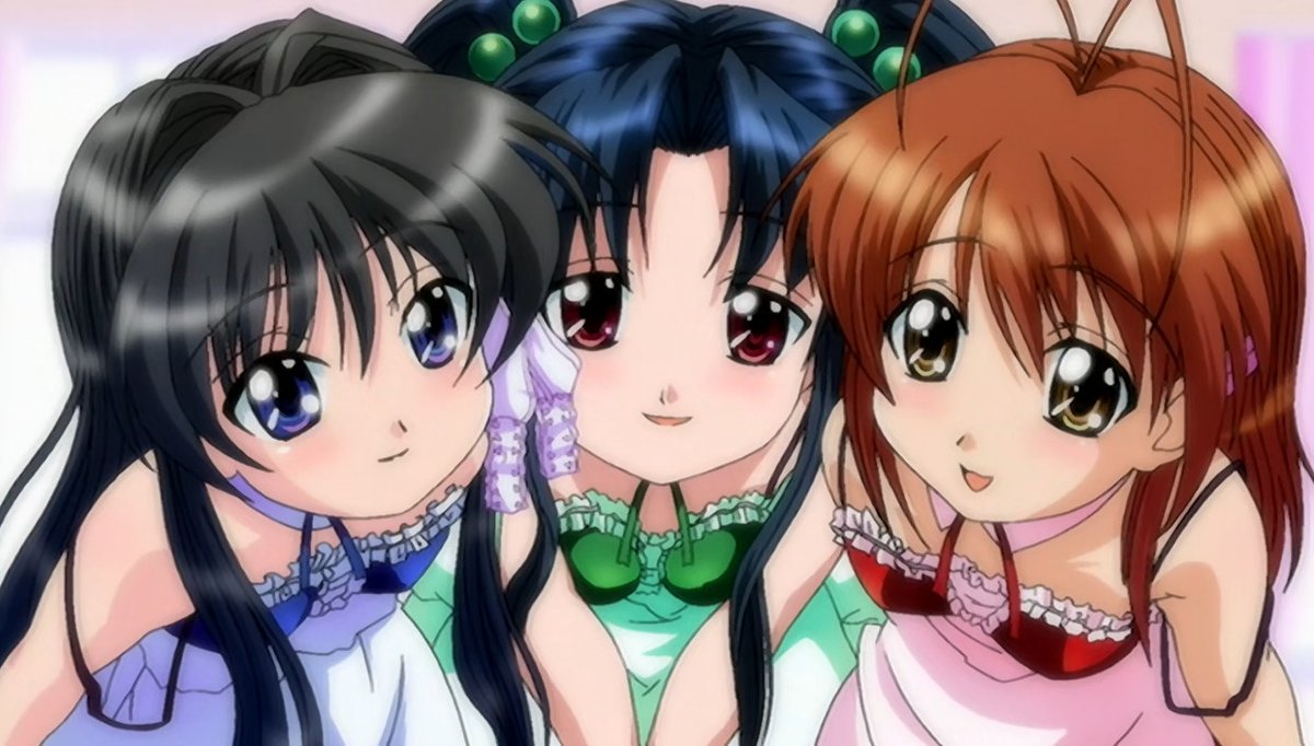 🔎🪿 tweet media