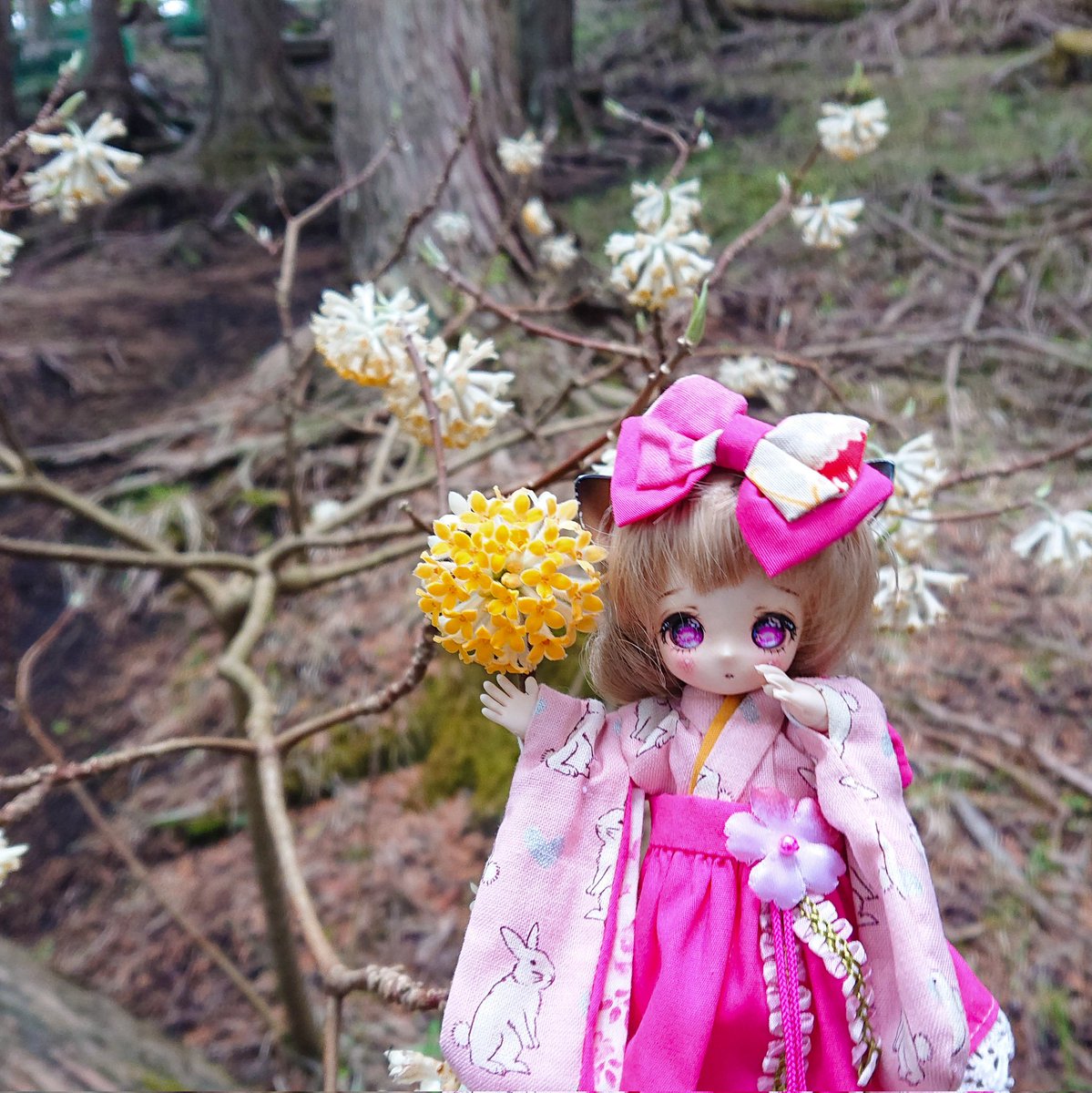 こまり tweet media