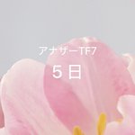 Photo by アナザートランスフォーメーション (@nextransform)