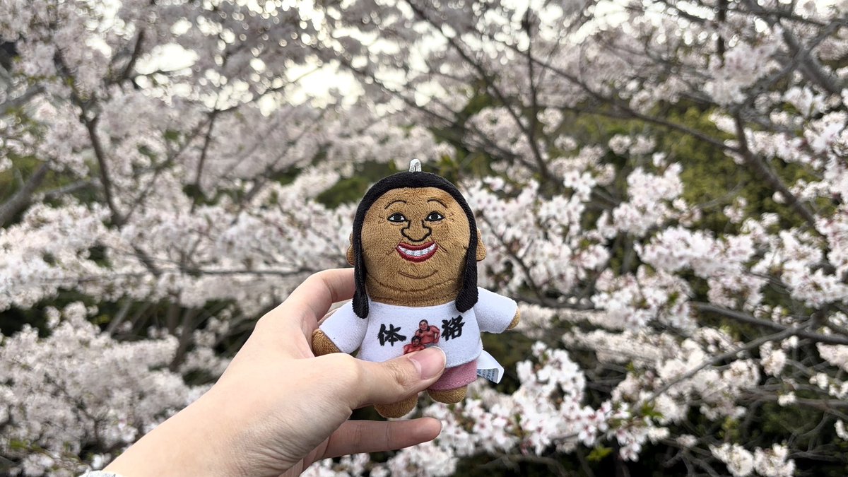 ナイアガラ前髪𝑮𝑰𝑹𝑳(una) tweet media