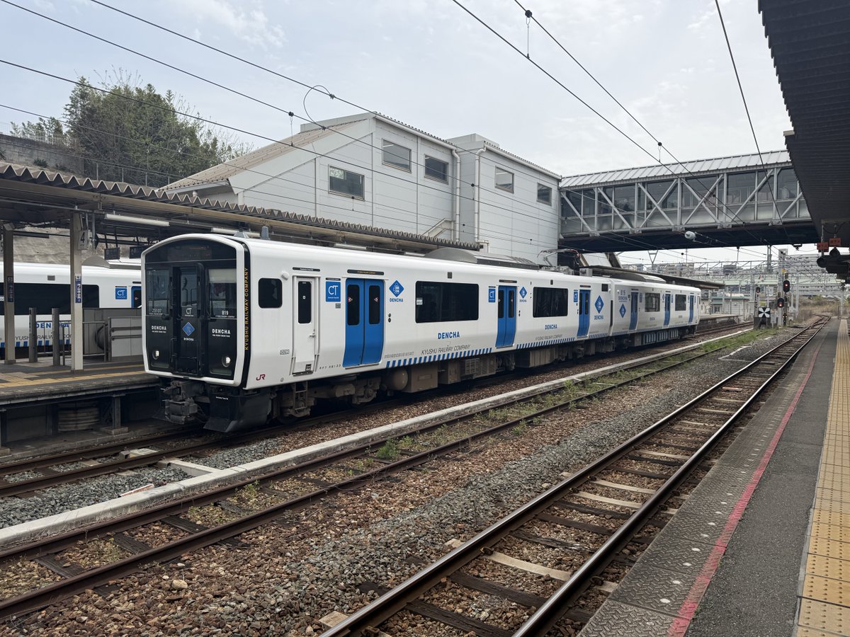 🇯🇵こにたん🇺🇸 tweet media