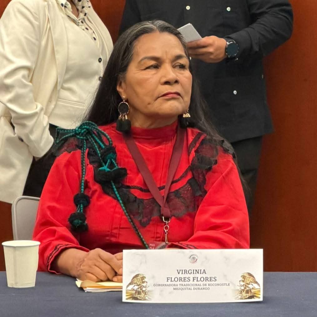 RazaCero's tweet image. #México || La Maestra Virginia Flores Flores, gobernadora tradicional de San José de Xoconoxtle, Mezquital, #Durango, denuncia injerencia de presunto integrante del crimen organizado para imponer nuevo gobernador de esta comunidad.

La Mtra. Virginia Flores solicita protección de