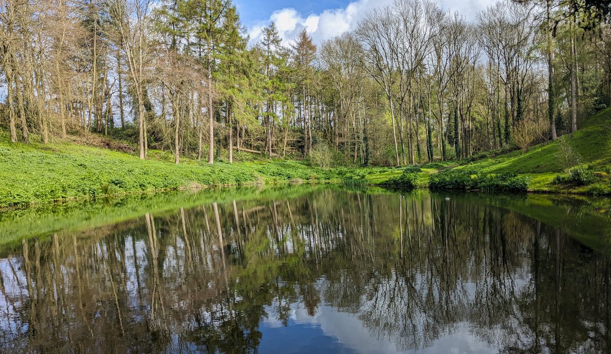 robinmmorrison's tweet photo. A wonderful springtime reflection pool at #Hestercombe gardens near #Taunton #Somerset this Easter weekend. https://t.co/cLPYcD6P3O