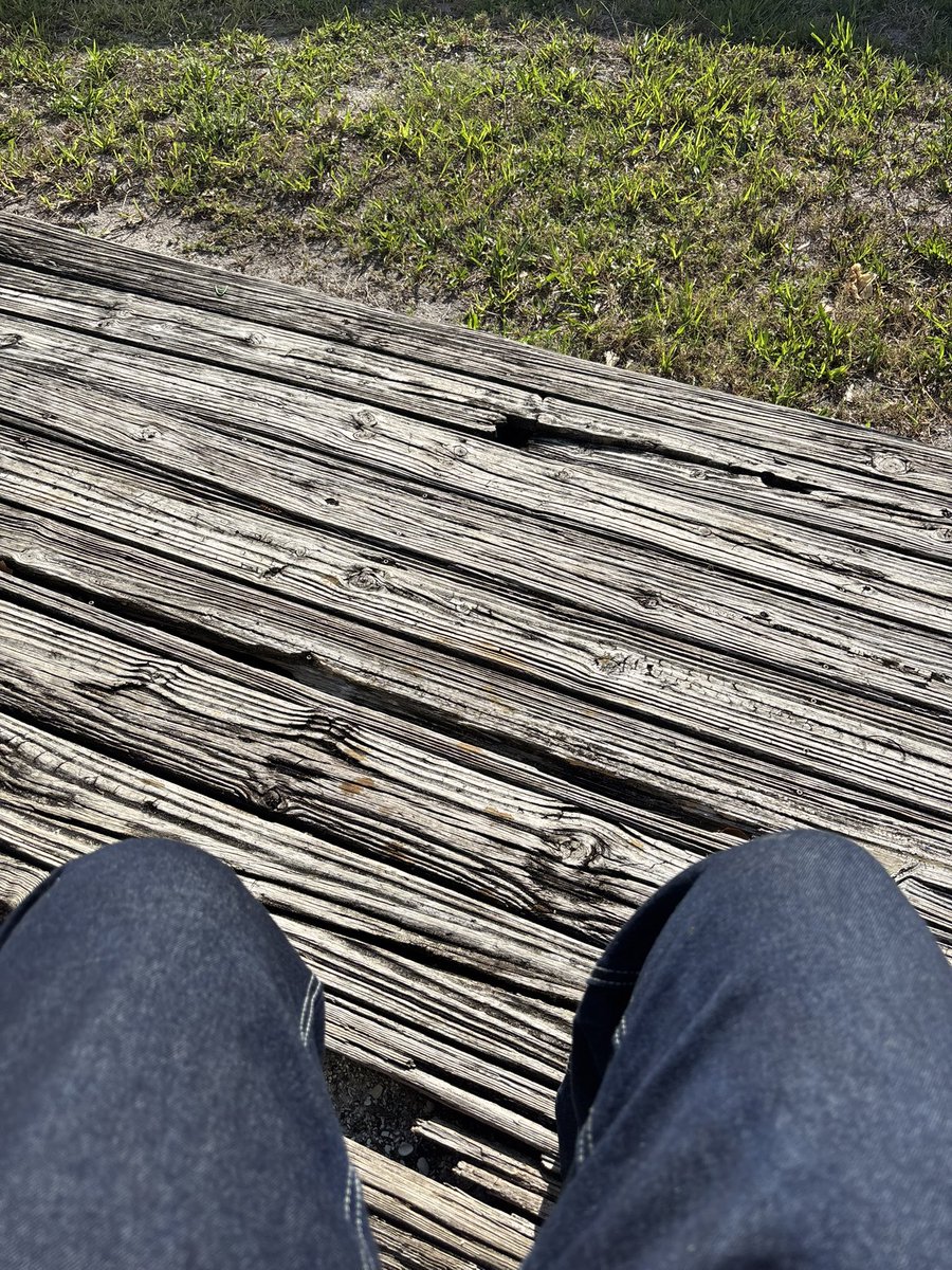 ༺ angel tweet media