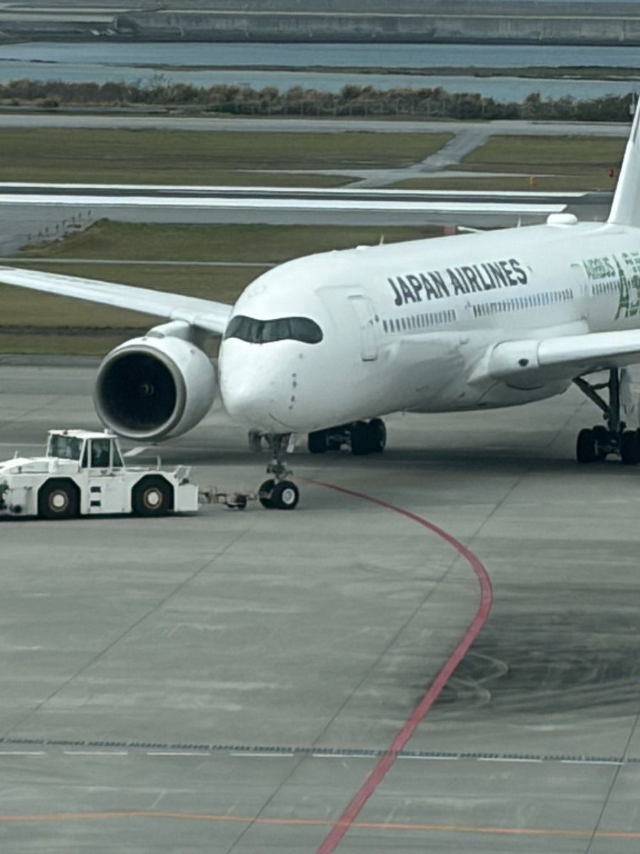 ✨ぴお✨@「5歳までにやっとこう！」〜遊びを通して非認知能力を育てましょう〜 tweet media