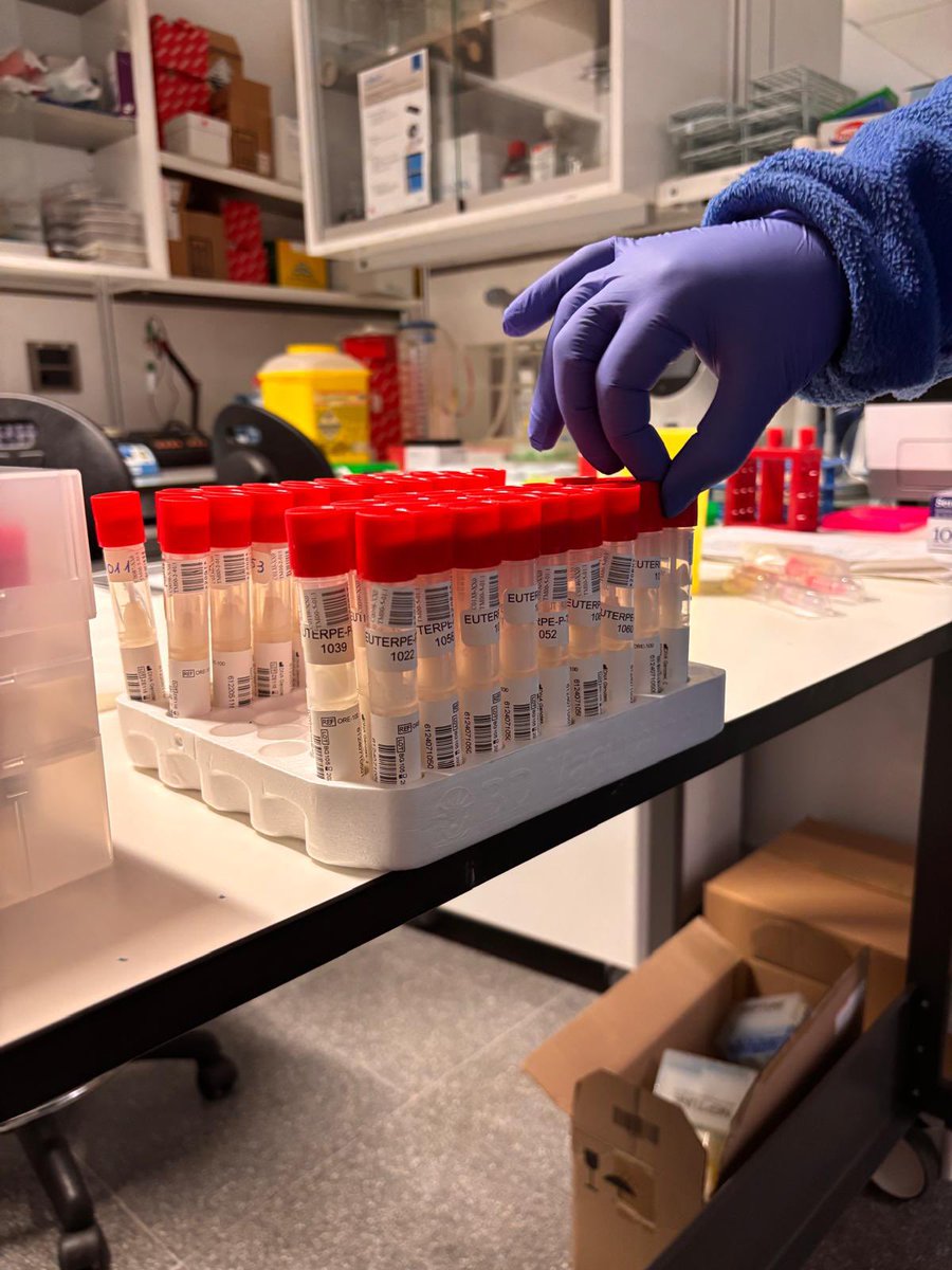 sensogenomics's tweet photo. PROCESANDO....PROCESANDO.....Mostras de saliva recollidas en Portugal. Grazas aos participantes portugueses da Santa Casa da Misericordia e de Alzheimer Portugal. No noso laboratorio estamos traballando procesando as mostras para poder ser analizadas despois.

#EUTERPEadn https://t.co/eGCOFoyaEc