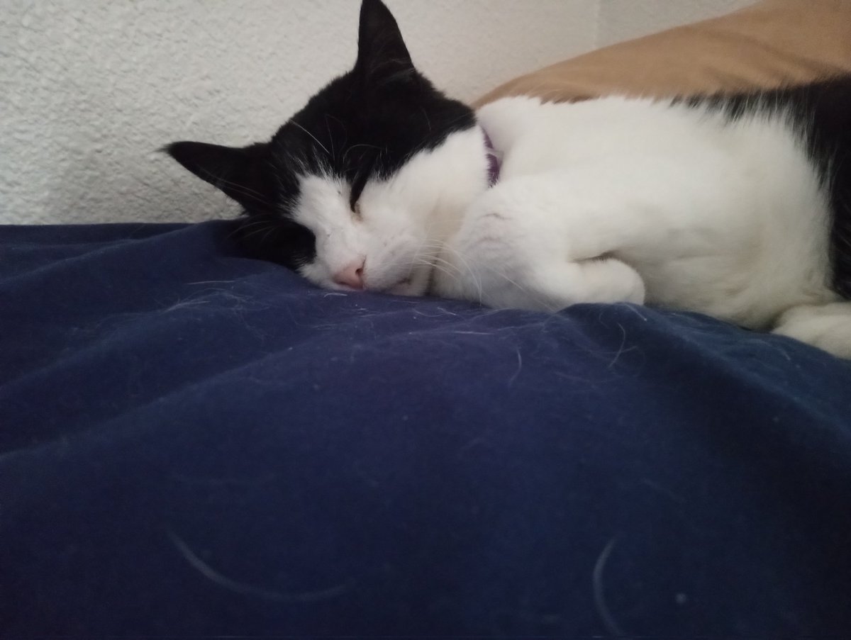 Parker Prettykoshka tweet media