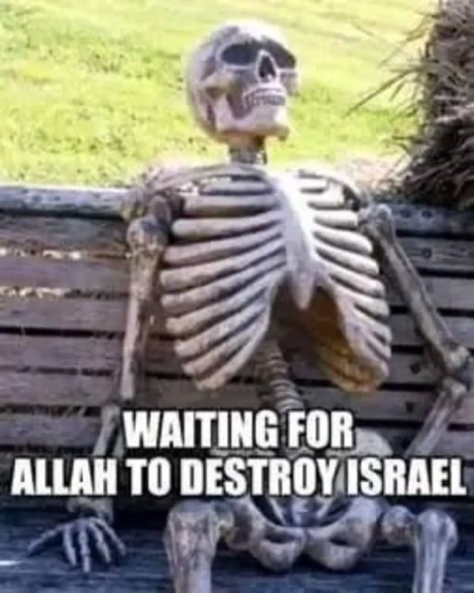 off-D-goose🧃 tweet media