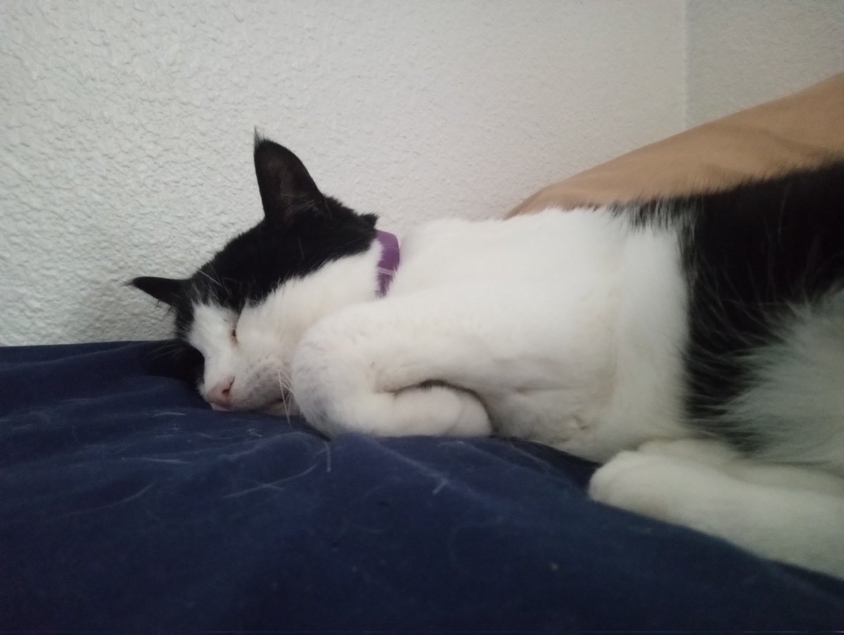 Parker Prettykoshka tweet media