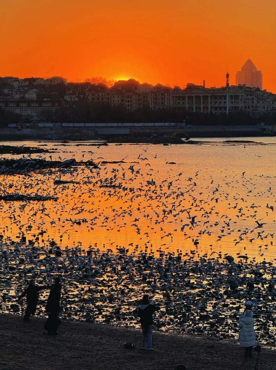 kamel ammar tweet media