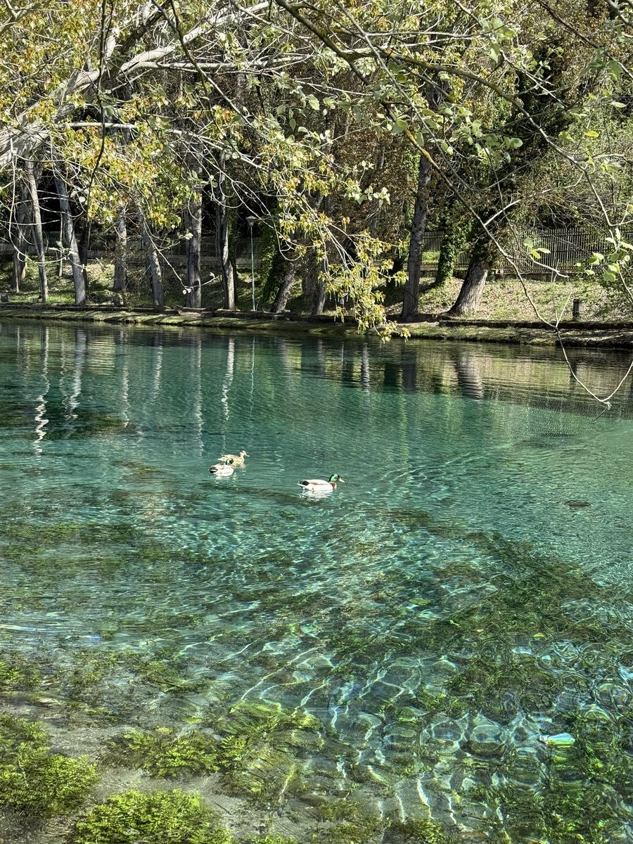 vxncx mus!c tweet media