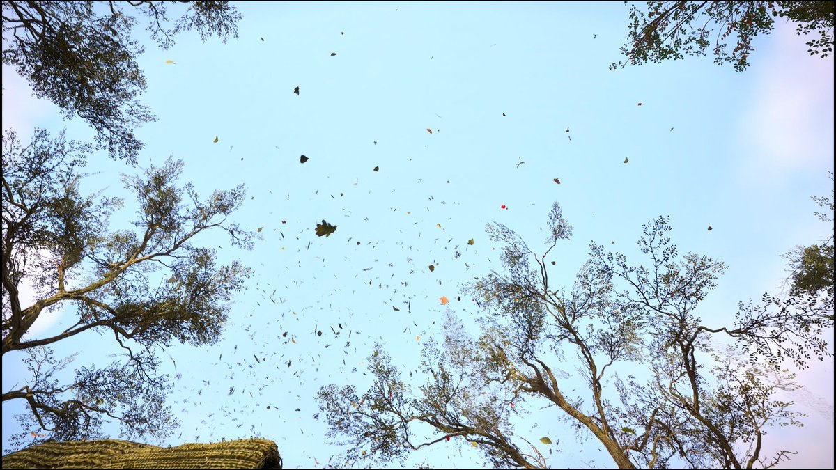 Сутінкова Гріні 🇺🇦 tweet media