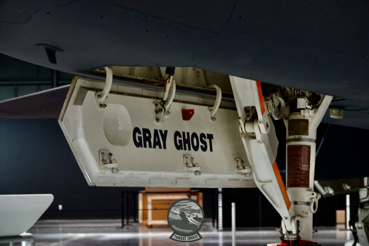 TomcatJunkie🏴‍☠️ tweet media