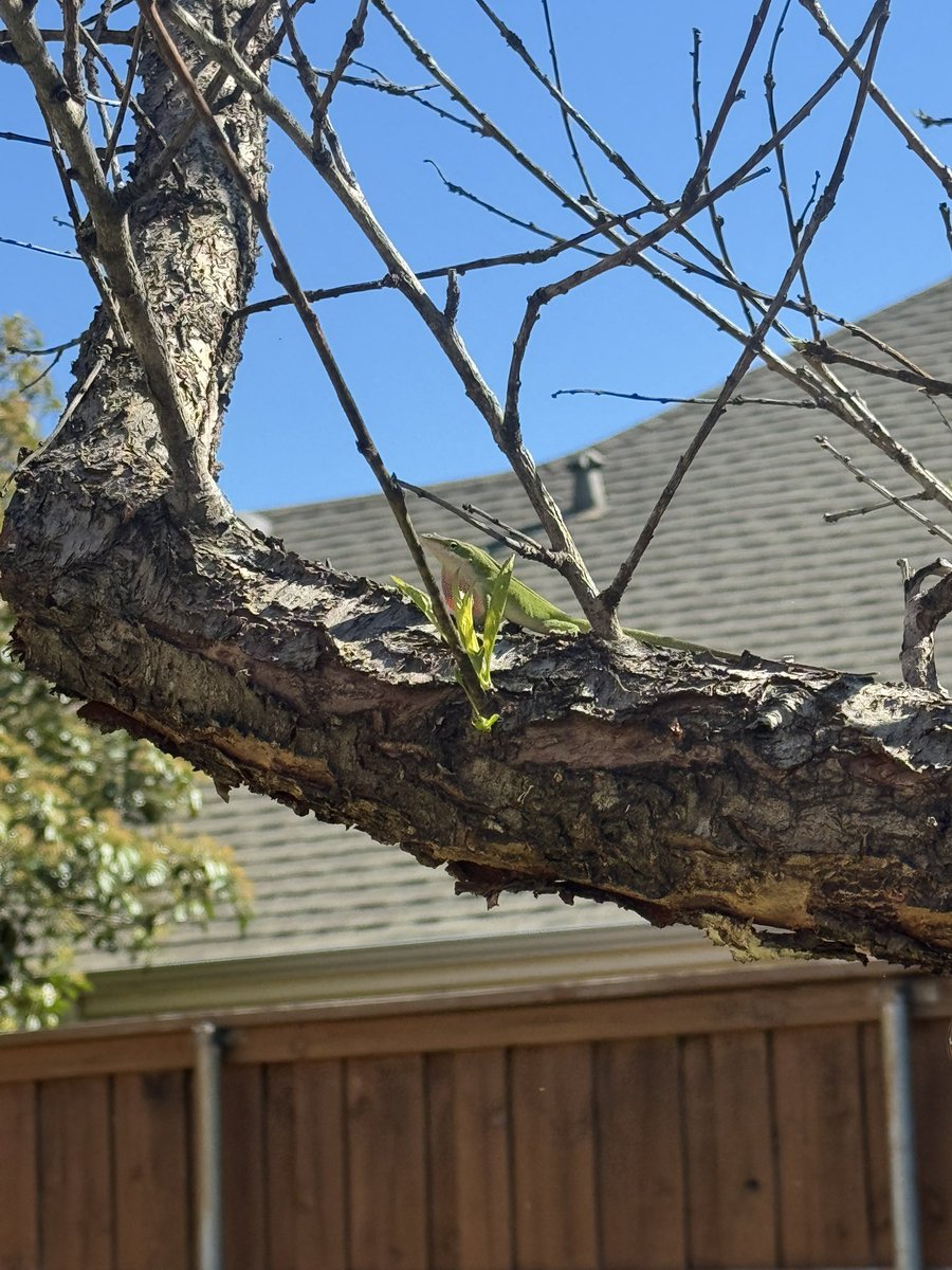 🪻jellybaby🪻 tweet media