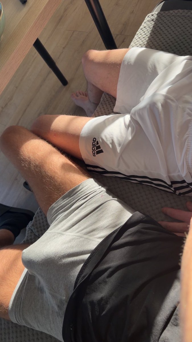 emil_the_rascal_20 tweet media