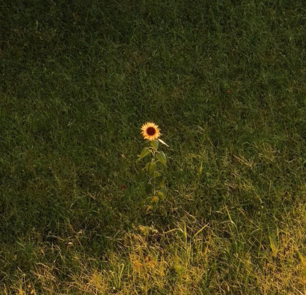 Kitaplardan Alıntılar tweet media