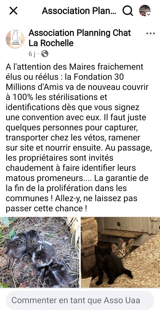UrgenceAideAnim's tweet photo. #assouaa
#association
#followers 
#assourgenceaideanimaux
#chaterrant
#chatderue
#toutlemonde https://t.co/2mQgLmqPZe